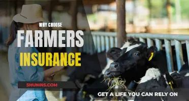 Farmers Insurance: The Reliable Choice for Customized Coverage