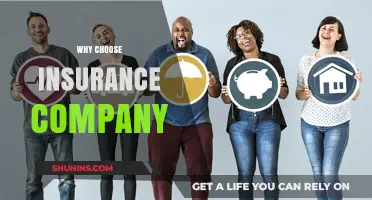 Why Choose an Insurance Company: Benefits and Key Considerations