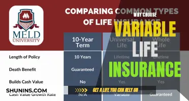 Unlock Financial Security: The Benefits of Variable Life Insurance