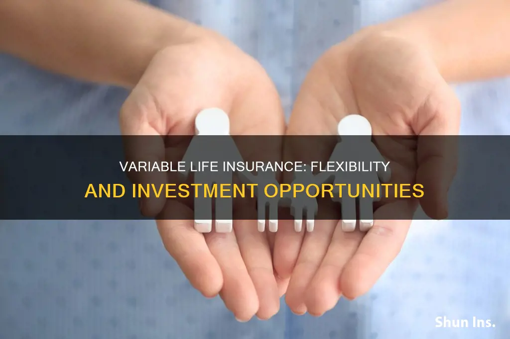 why choose variable life insurance