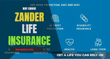 Zander Life Insurance: Your Comprehensive Guide to Peace of Mind