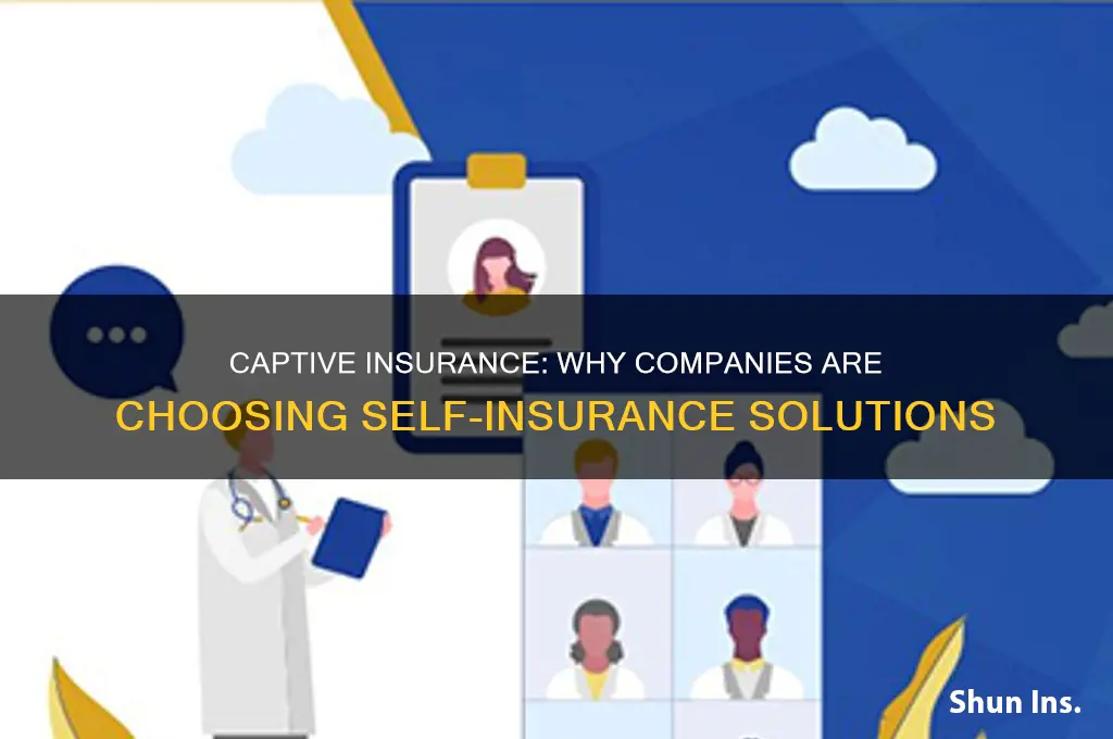 why companies are opting for captive insurance arrangements