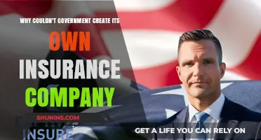 Why Governments Struggle to Establish Their Own Insurance Companies