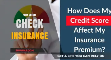 Credit Check Insurance: Protecting Your Financial Future