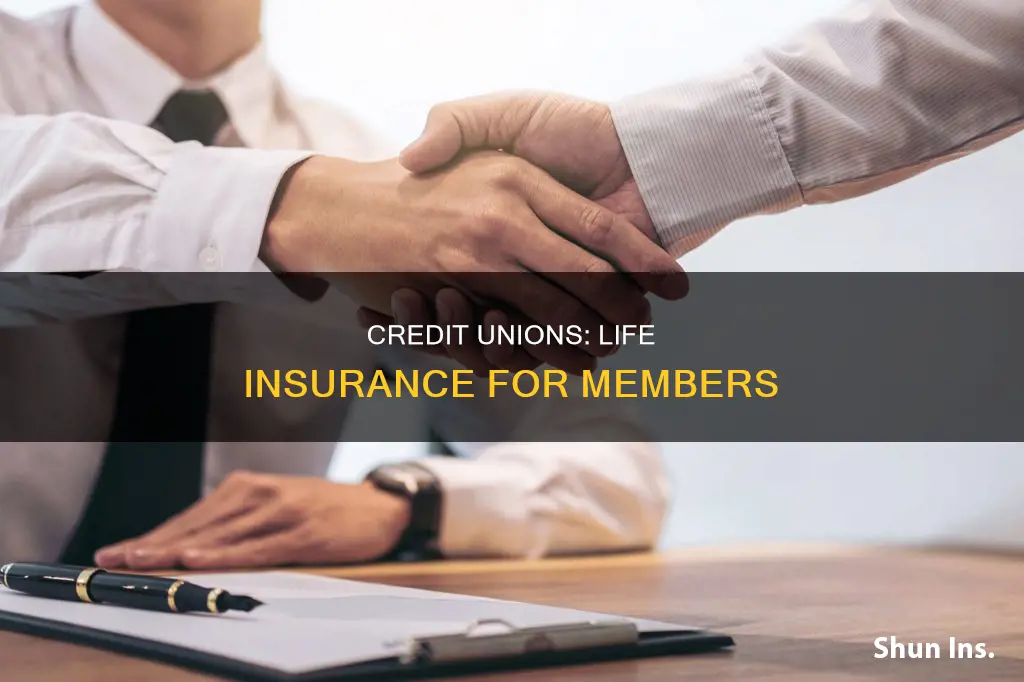 why credit unions offer life insurance