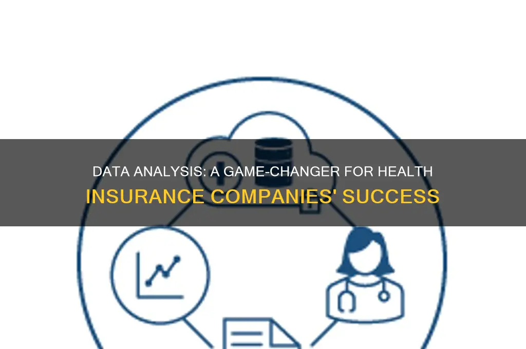 Data Analysis: A Game-Changer For Health Insurance Companies' Success ...
