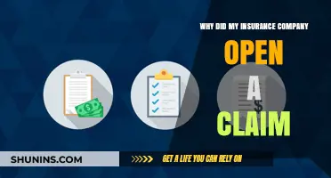 Why Your Insurance Company Opened a Claim: Understanding the Process