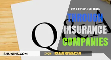 Why Borrowers Choose Insurance Companies for Loans: Key Advantages Explained