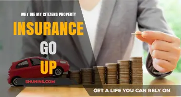 Citizens Property Insurance: Why the Rising Costs?