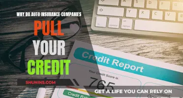 Auto Insurance Companies: Credit Checks and You