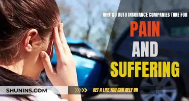 Auto Insurance Companies: Pain, Suffering, and Compensation