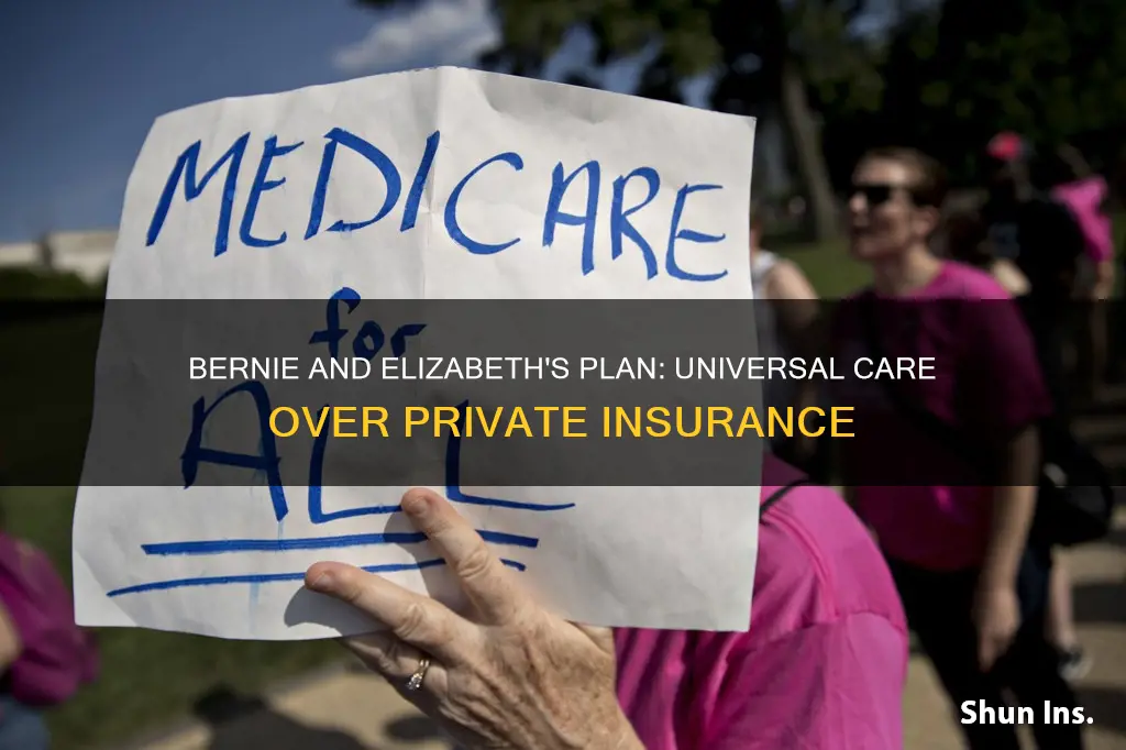 why do bernie and elizabeth want to end private insurance