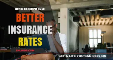 Why Big Companies Secure Lower Insurance Premiums: Key Factors Explained