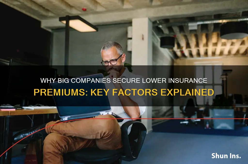 why do big companies get better insurance rates
