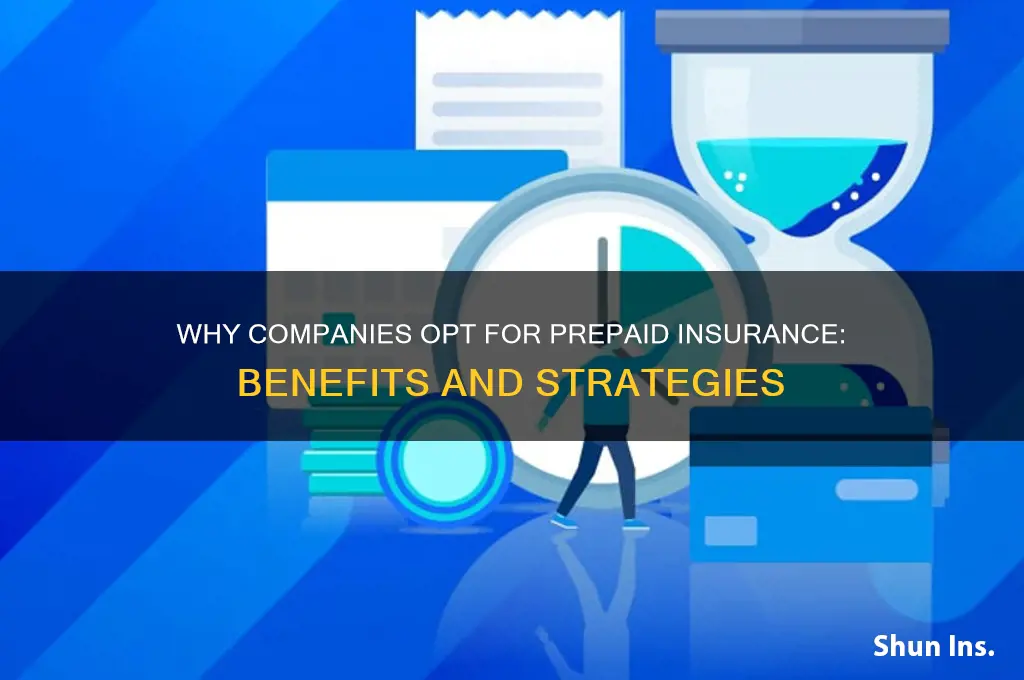 why do companies have prepaid insurance