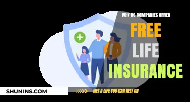 Why Companies Provide Free Life Insurance: Benefits and Strategies