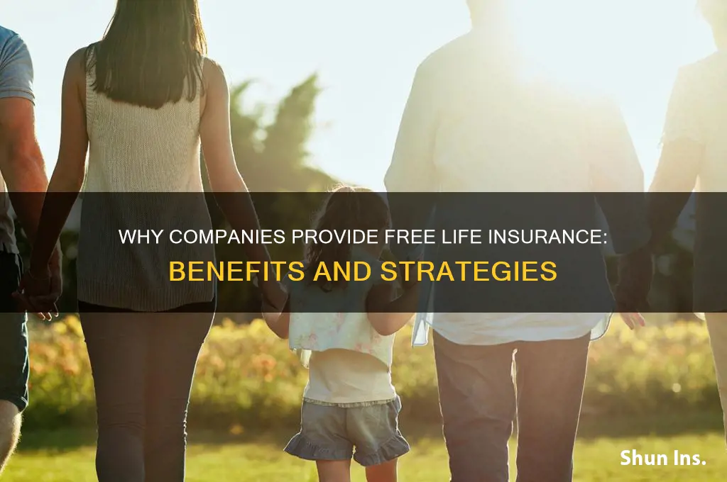 why do companies offer free life insurance