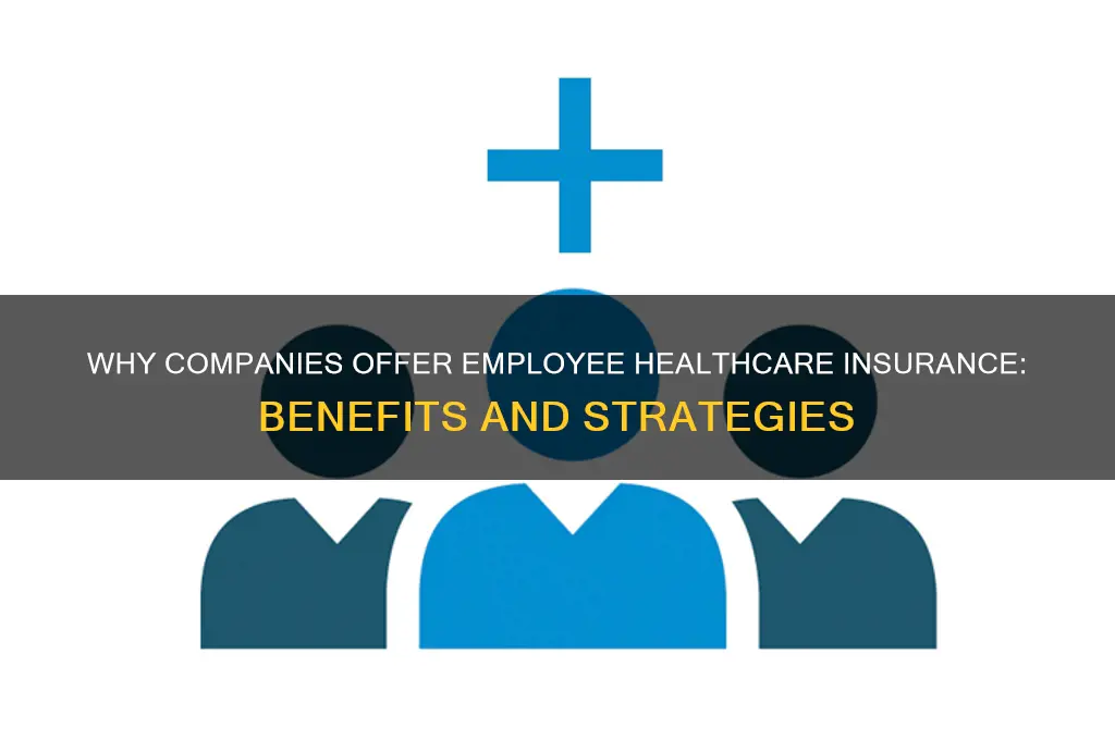 why do companies provide healthcare insurance to their employees