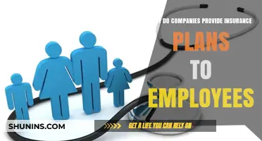 Why Companies Offer Employee Insurance Plans: Benefits and Strategies