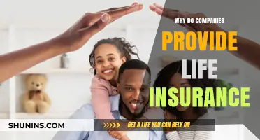 Why Companies Offer Life Insurance: Benefits for Employees and Employers