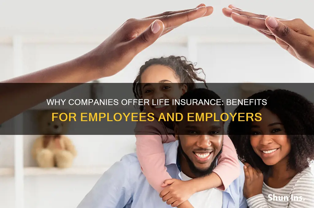 why do companies provide life insurance