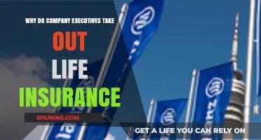 Why Company Executives Prioritize Life Insurance for Business Protection