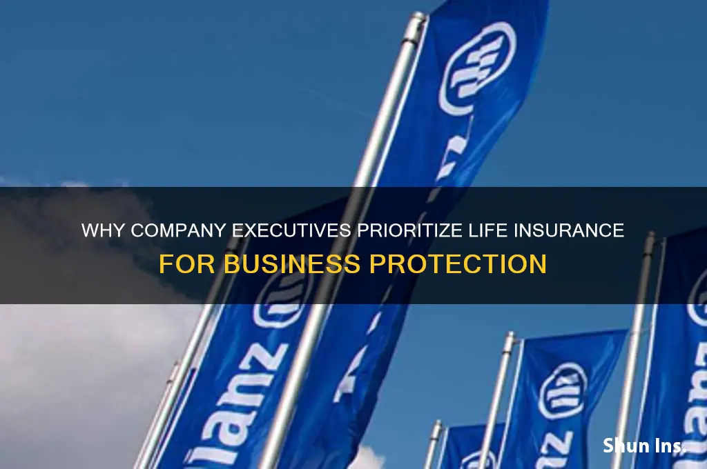 why do company executives take out life insurance