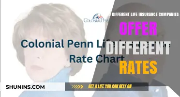 Why Life Insurance Rates Vary: Understanding Company Differences