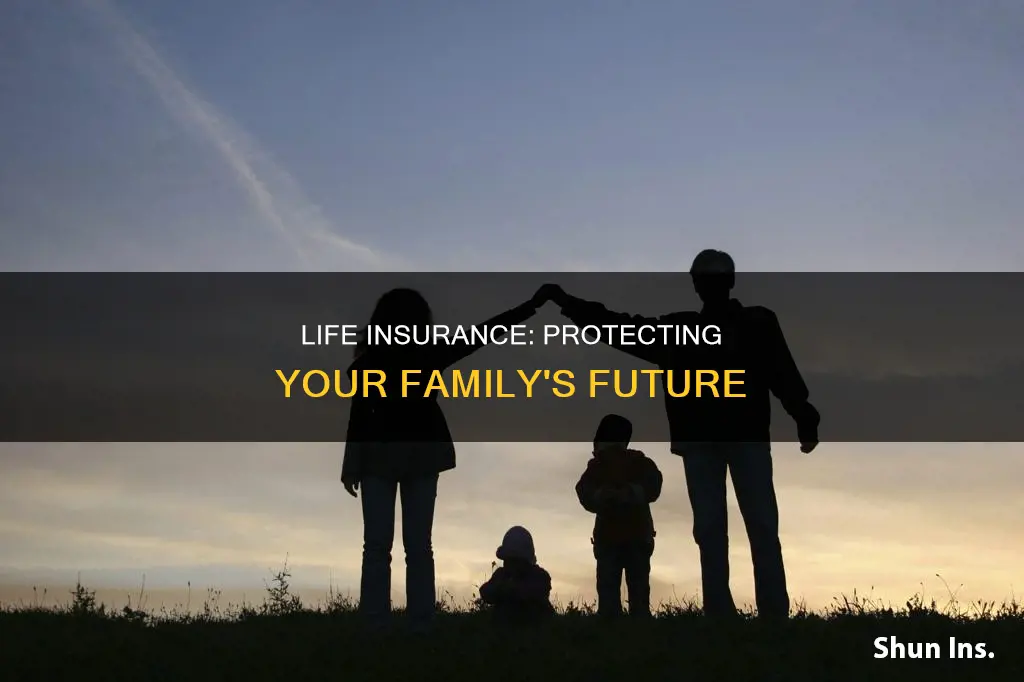 why do family members do life insurance