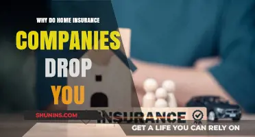 Why Home Insurance Companies Drop Policyholders: Key Reasons Explained