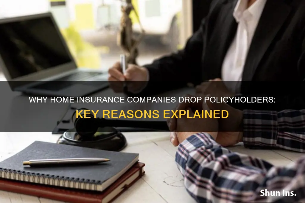 why do home insurance companies drop you