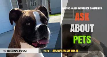 Why House Insurance Companies Inquire About Pets: Key Factors Explained
