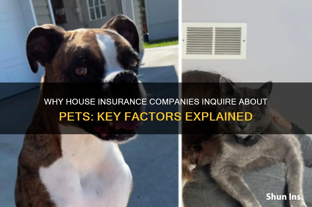 why do house insurance companies ask about pets