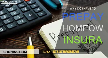 Prepaying Home Insurance: Why It's Necessary