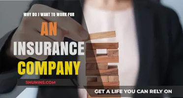 Why I'm Drawn to a Career in the Insurance Industry