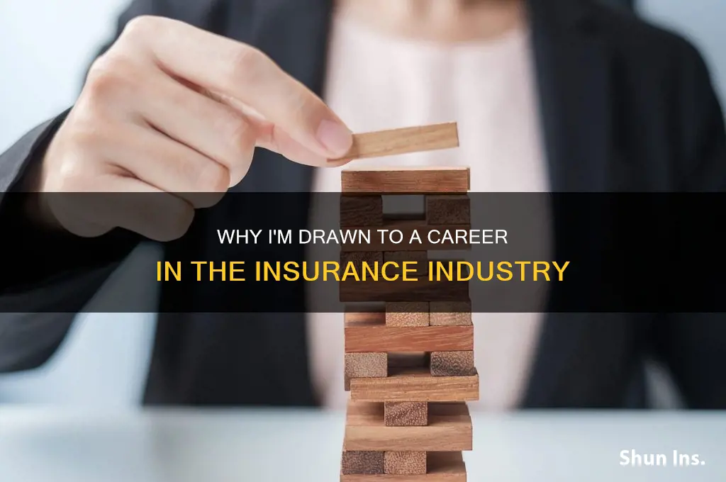 why do i want to work for an insurance company