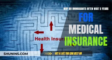 Access to Medical Insurance: Immigrants' 5-Year Wait Explained