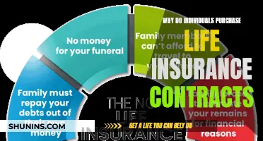 Securing the Future: Why Life Insurance is a Wise Investment