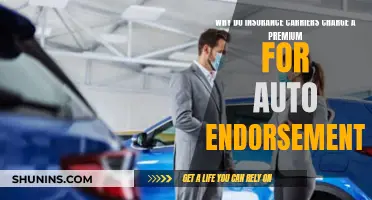 Auto Endorsements: Insurance Carriers Charge Premium for Added Coverage