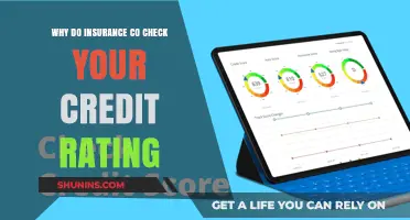 Credit Checks: How Insurers Assess Your Risk Profile
