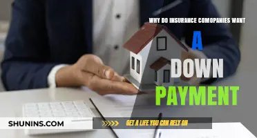 Insurance Down Payments: Why They're Necessary