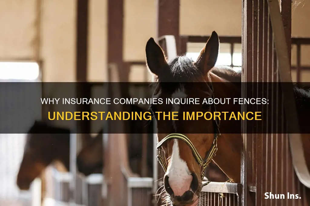 why do insurance companies ask about fence