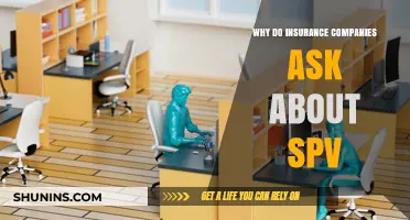 Why Insurance Companies Inquire About SPVs: Understanding the Importance