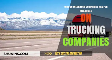 Why Insurance Companies Require Financials from Trucking Businesses