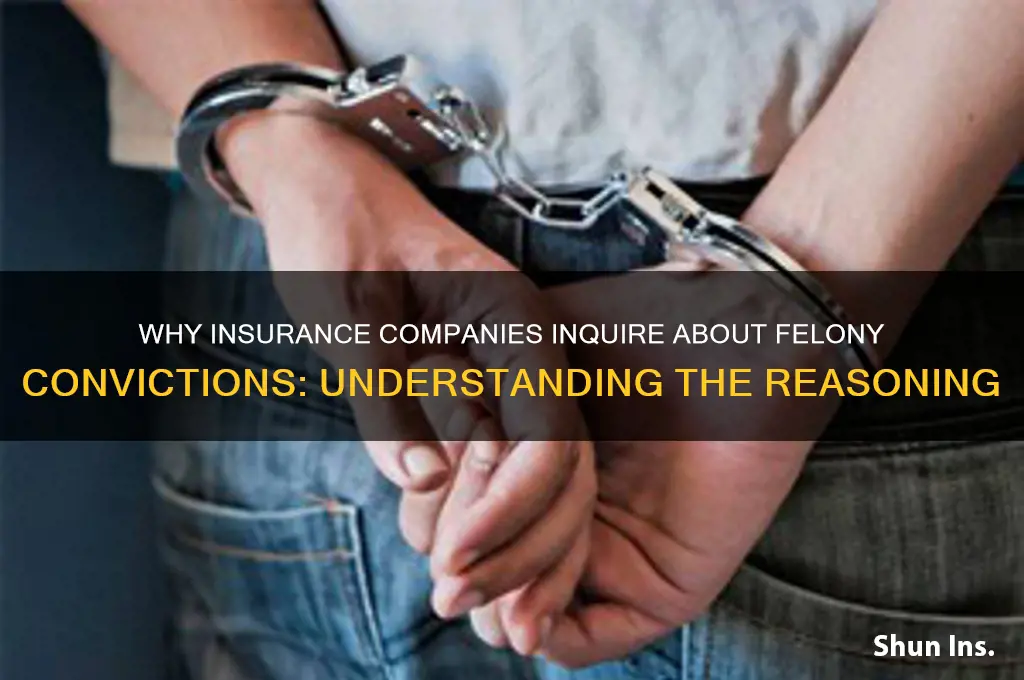 why do insurance companies ask if convicted of felonies