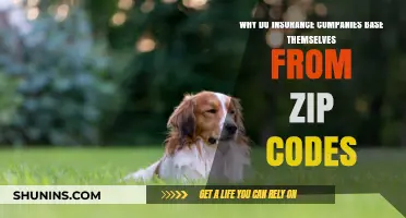 Why Zip Codes Influence Insurance Rates: Understanding Location-Based Premiums