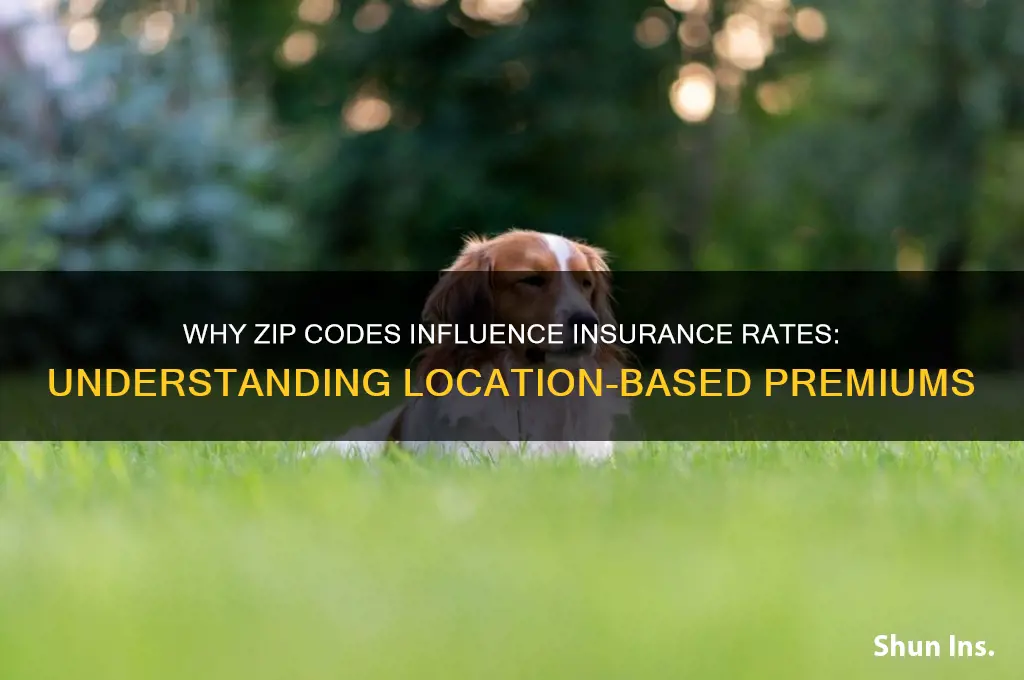why do insurance companies base themselves from zip codes