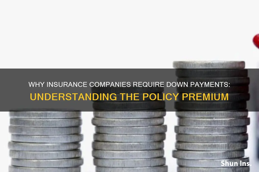 why do insurance companies charge a down payment