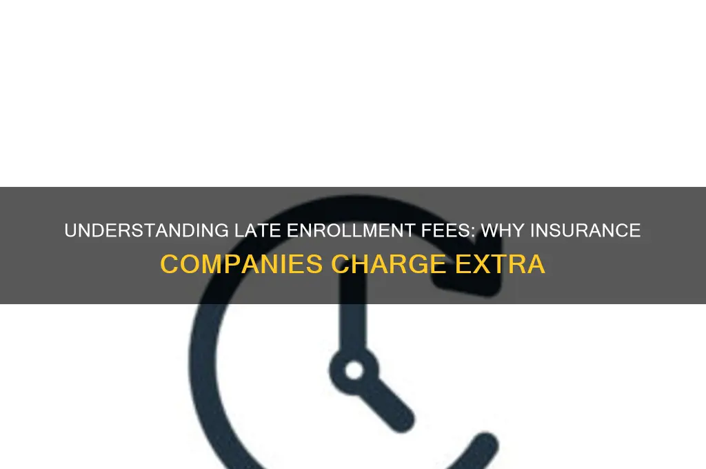 why do insurance companies charge a late enrollment fees