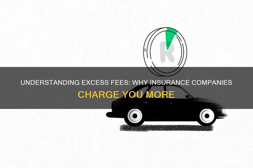 why do insurance companies charge excess